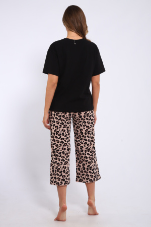 242eb03b-31d9-42ec-8de8-336d3cb3038f